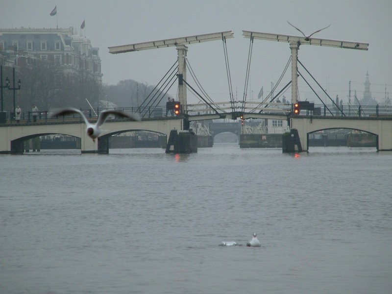 The bridges