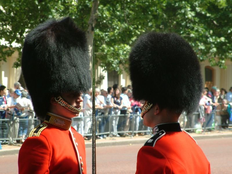 Inspection