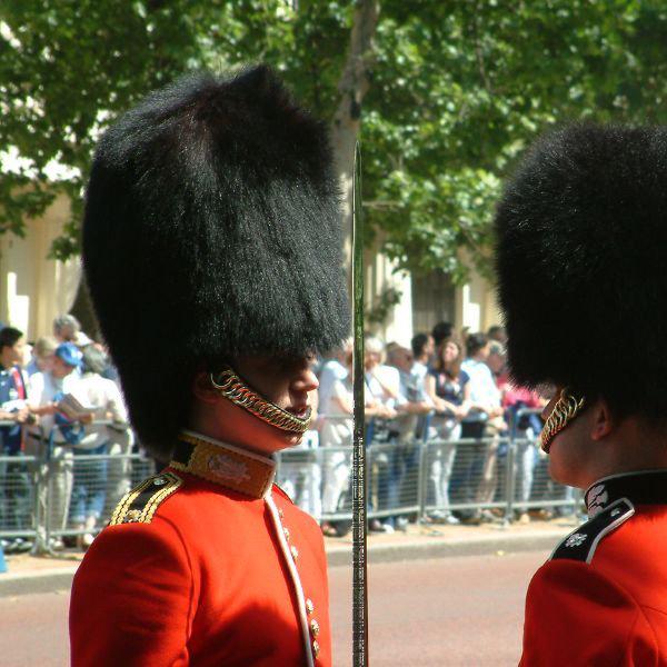 Inspection