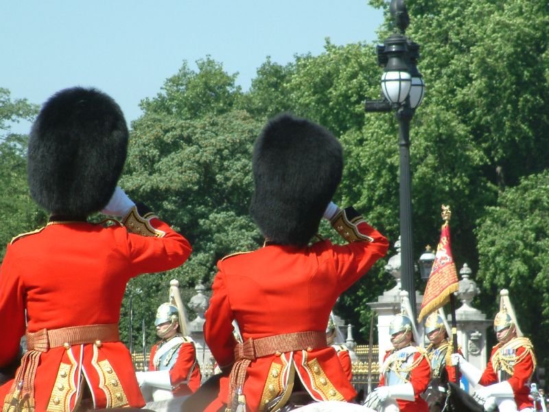 Saluting