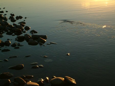 Sunset ripples