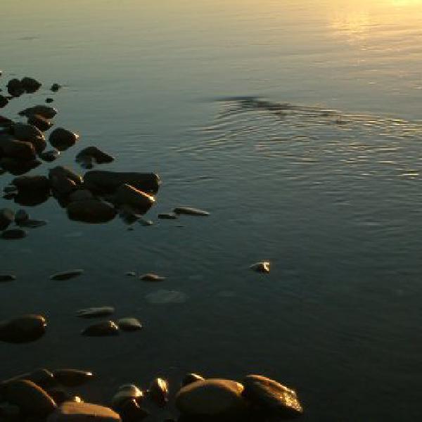 Sunset ripples