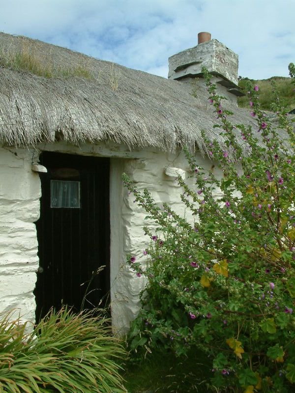 Cottage door
