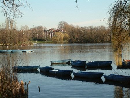 Boats in Regent's Park