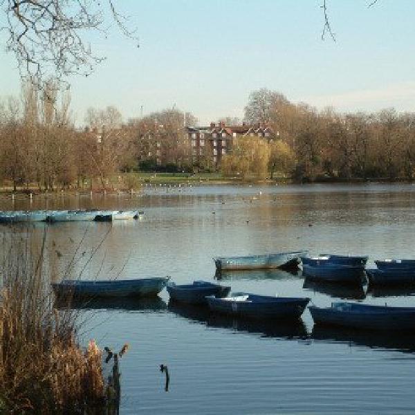 Boats in Regent's Park
