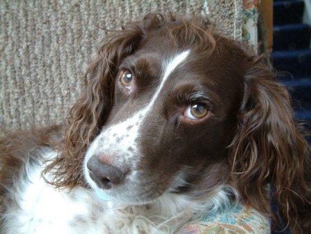 Lucy