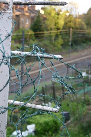 Barbed wire protecting train track