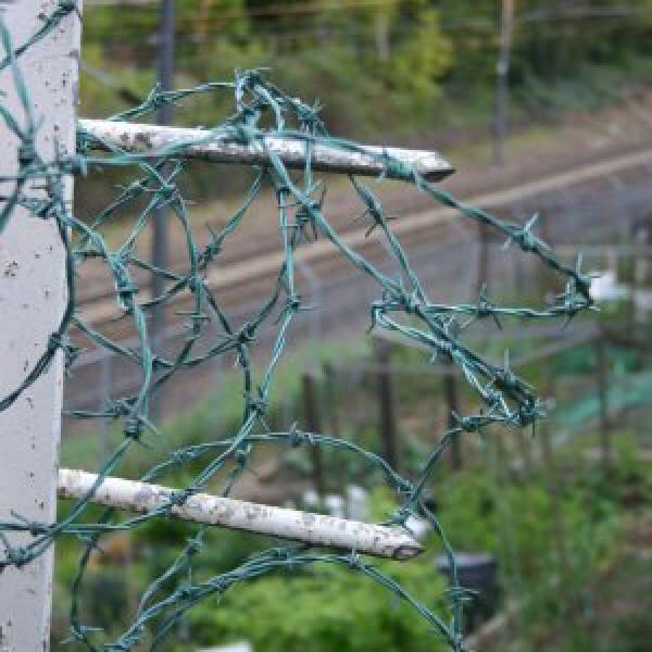 Barbed wire protecting train track
