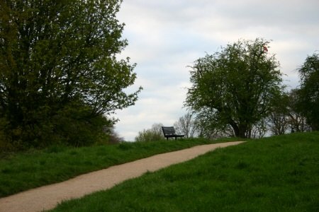 Bench on Hampstead Heath