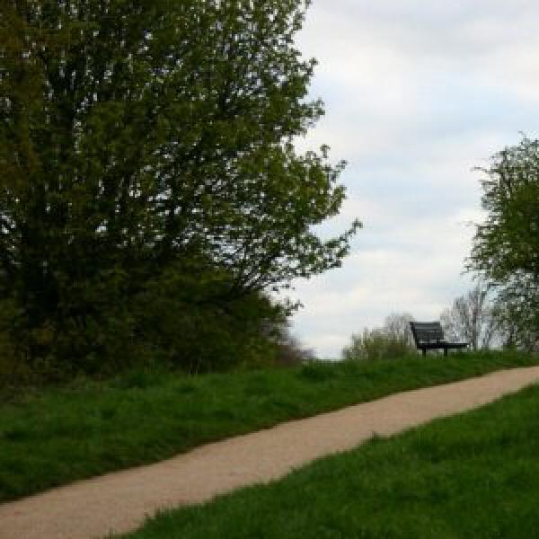 Bench on Hampstead Heath