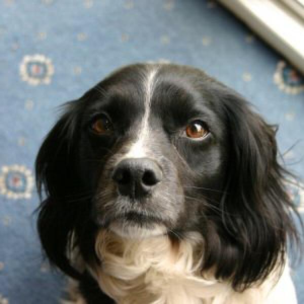 Buster