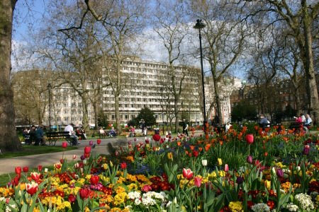 Flowers in Russell Square