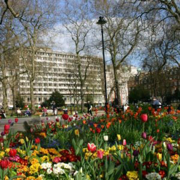Flowers in Russell Square