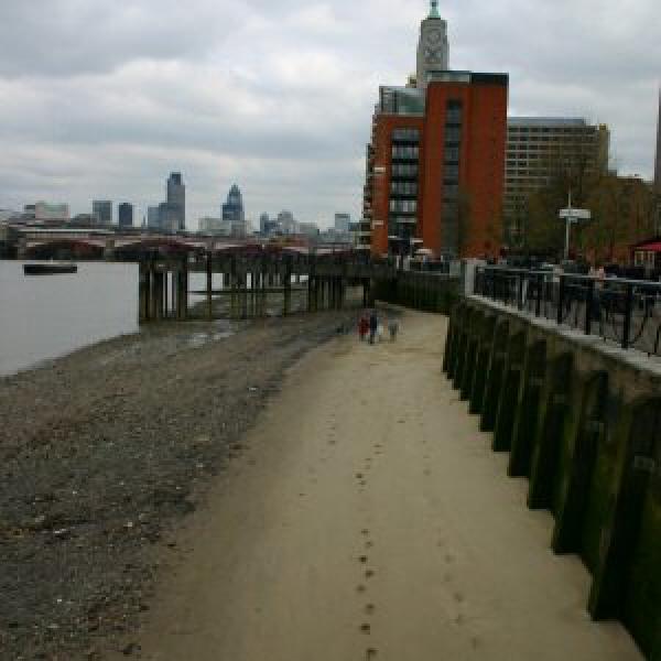 Footprints in the sand