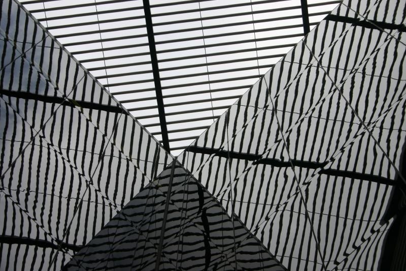 Looking up