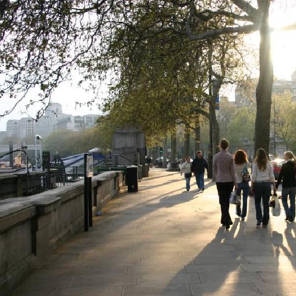 Shadows on the Embankment