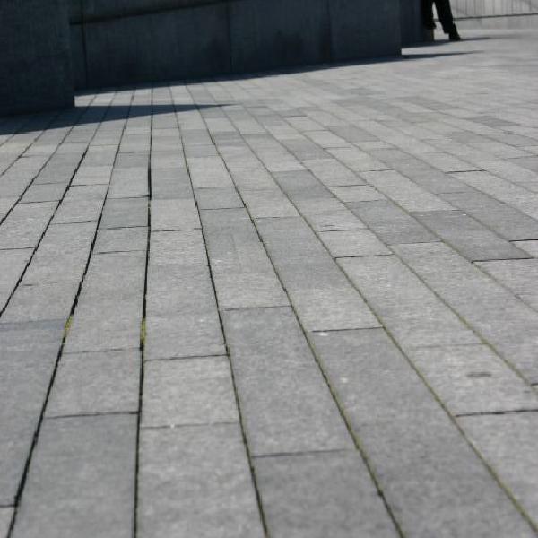 Skater boys