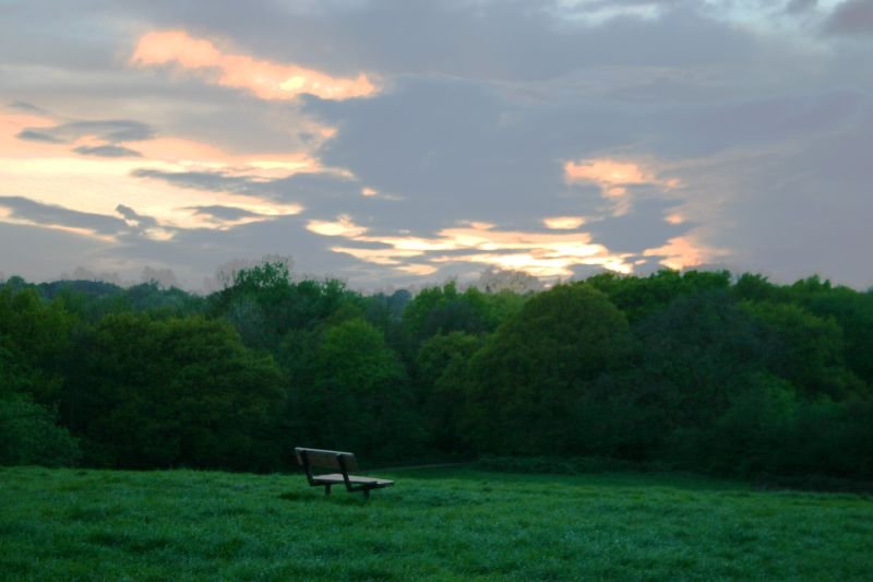 Sunset over Hampstead Heath