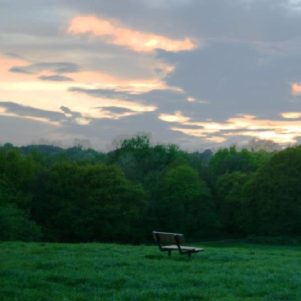 Sunset over Hampstead Heath