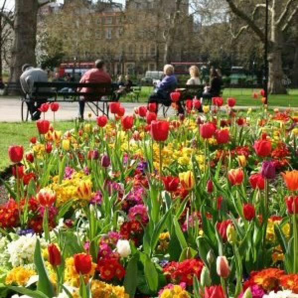 Sunshine in Russell Square