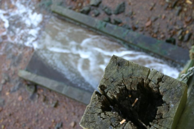 Water outlet