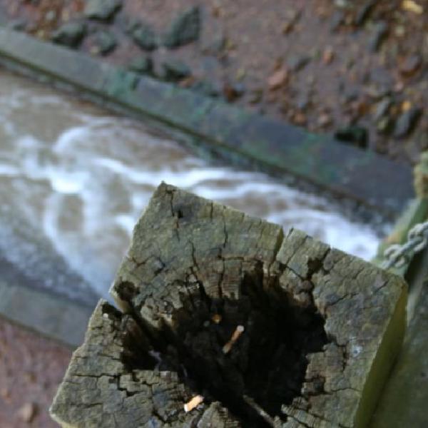 Water outlet