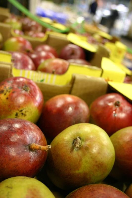 Apples