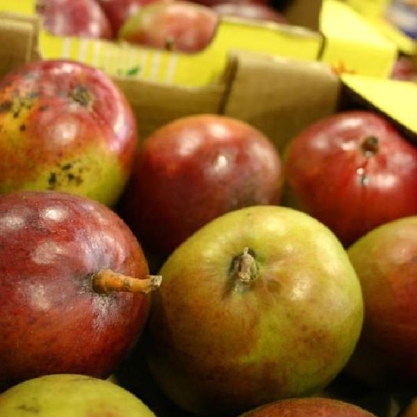 Apples