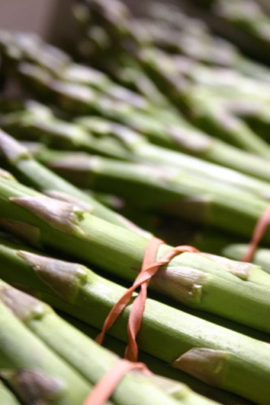 Asparagus