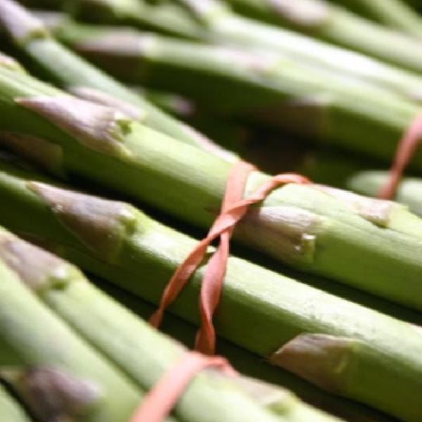 Asparagus