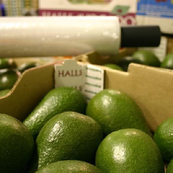 Avocados