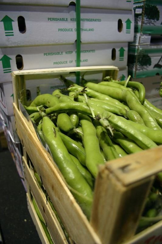 Beans