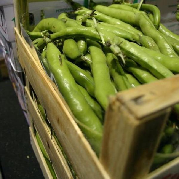 Beans