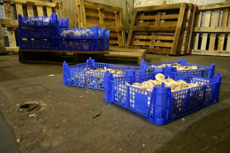 Boxes and crates