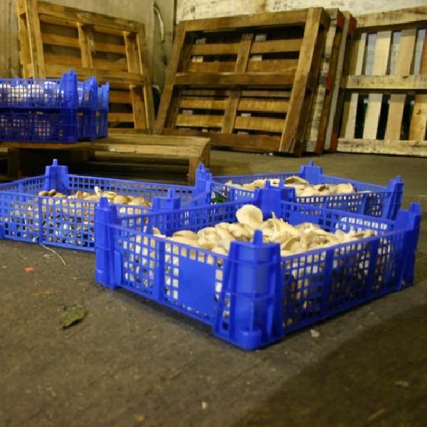 Boxes and crates