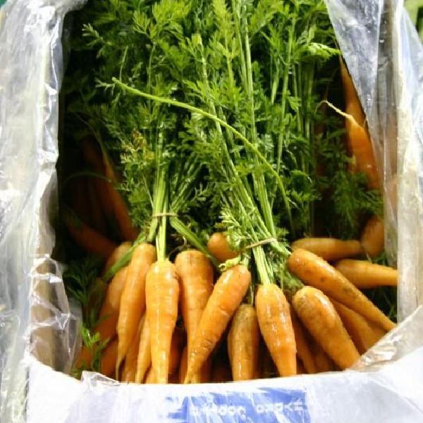 Carrots