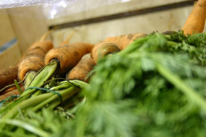 Carrots