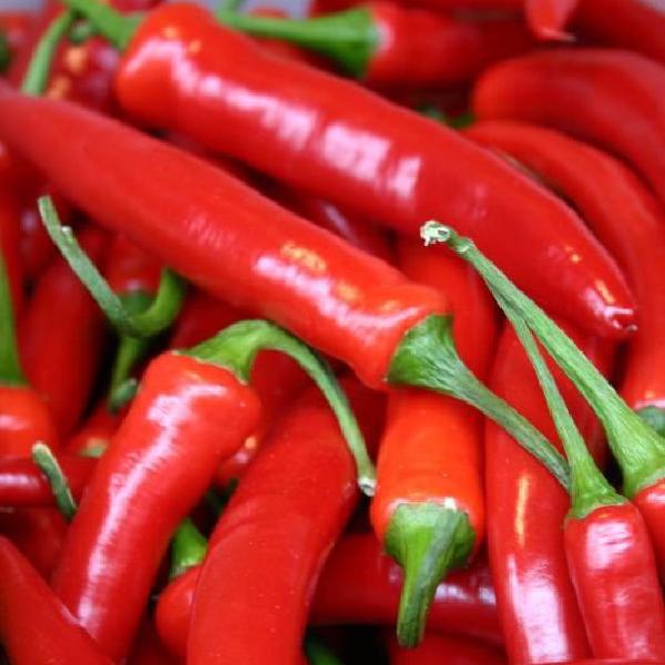Chillies