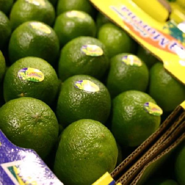 Limes