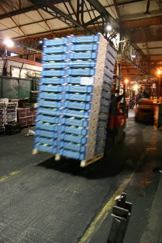 Moving lettuces
