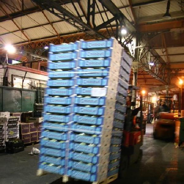 Moving lettuces