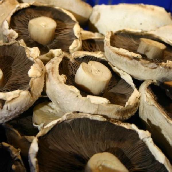 Mushrooms