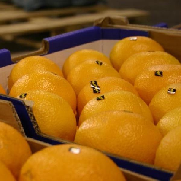 Oranges