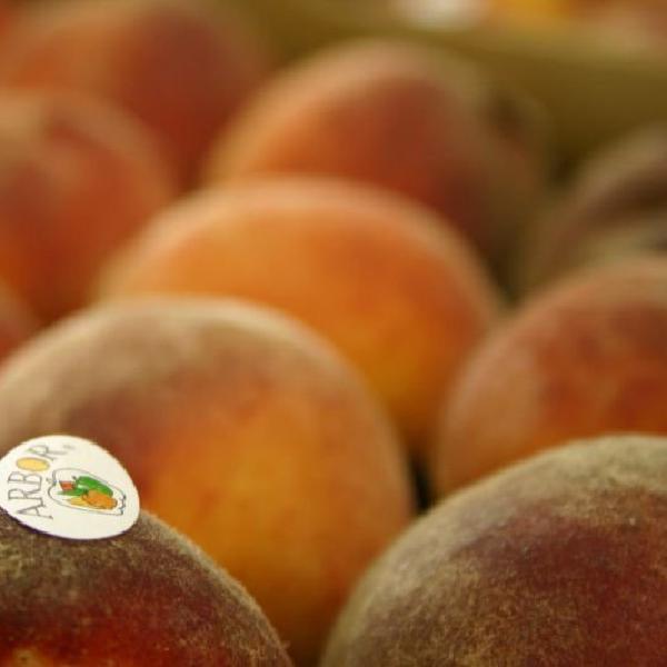 Peaches