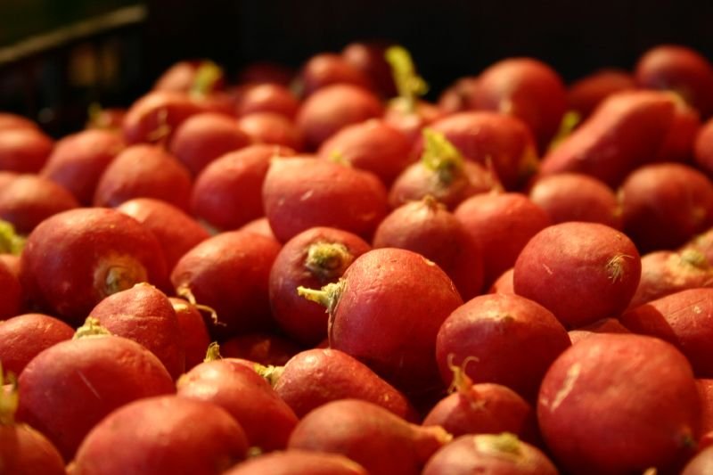 Radishes