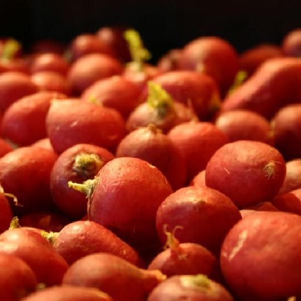 Radishes