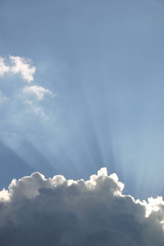 Rays of sunshine