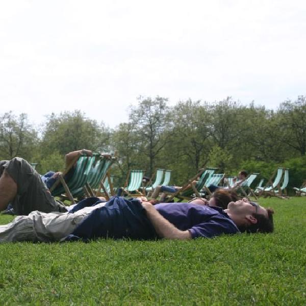 Relaxing in the park
