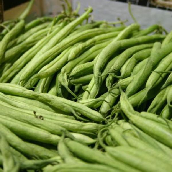 Runner beans