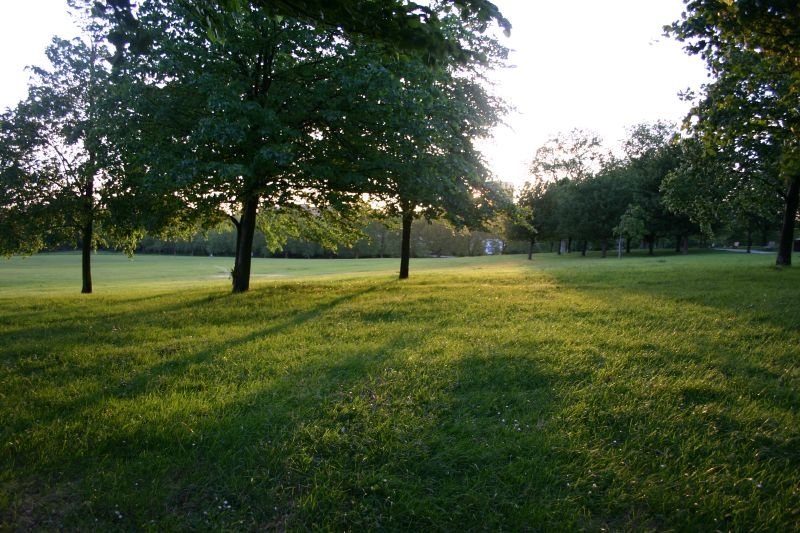 Setting sun behind Primrose Hill